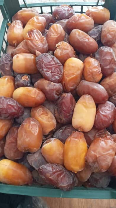 تصویر 1 از خرما کبکاب دشتستان سبدی
